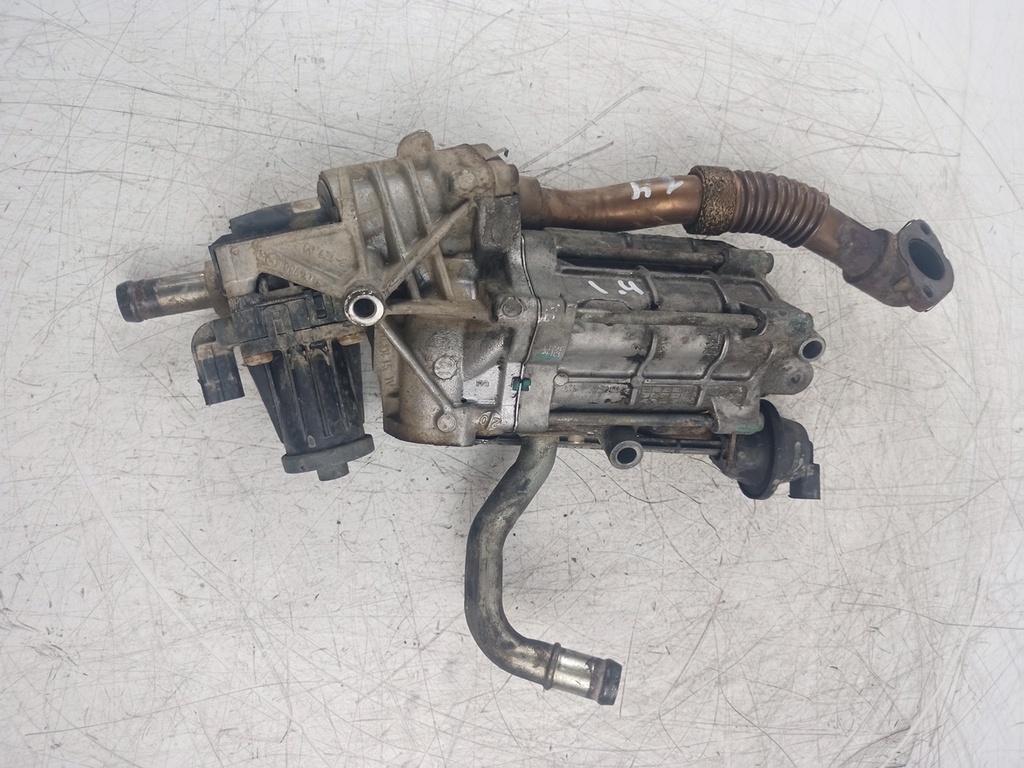MTD-437219-1