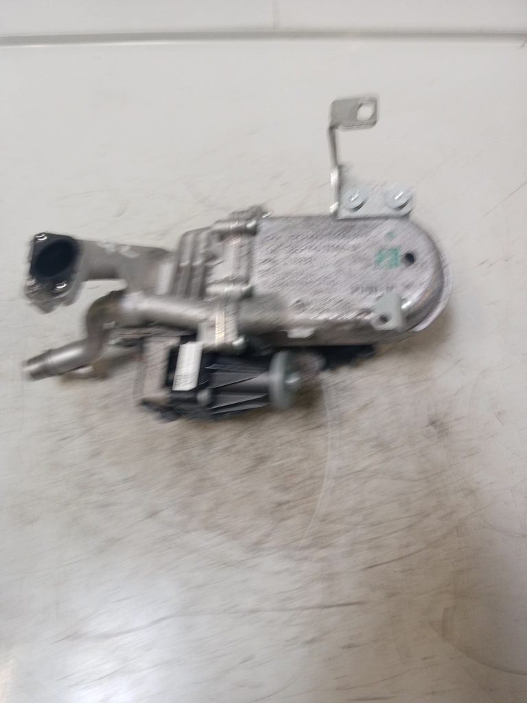 MTD-428419-1