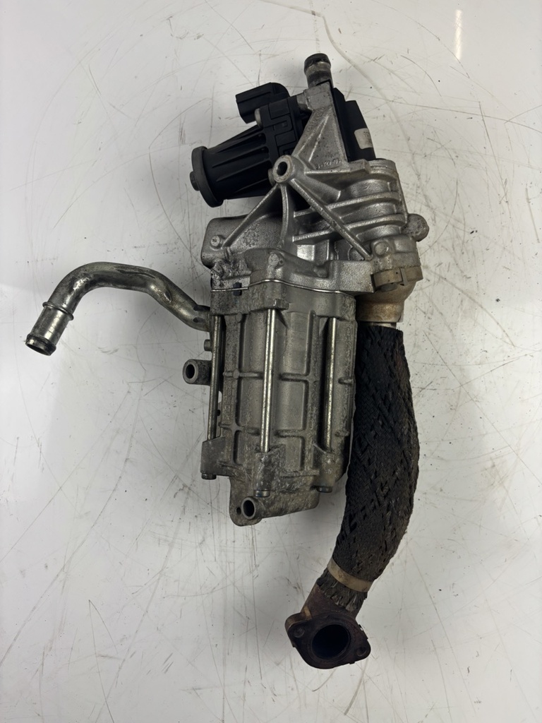 MTD-438929-1