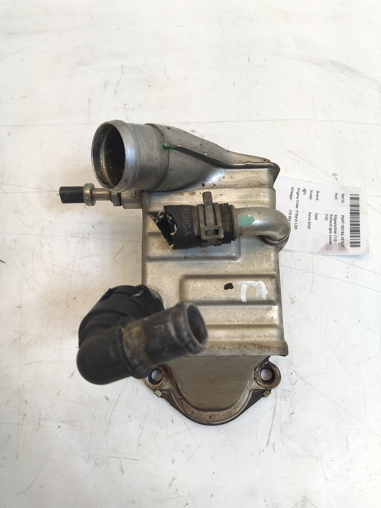 MTD-535643-1