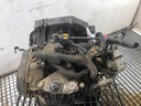 STARK-775246-2