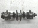 MTD-529802-1