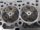 MTD-529798-5