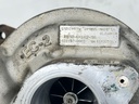 IMG_2965.JPEG