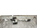 STARK-938613-1