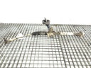 STARK-741341-4