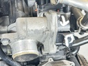 IMG_3425.JPEG