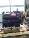 MTD-549319-2