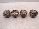 Juego de 4 pistones Seat VW Leon Golf 1.5 TSI