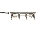 Rampa de inyección Dacia Duster (HS_)