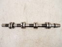 Árbol de levas VW Passat B6 2.0 TDI