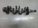 Cigüeñal Ford Fiesta VI 1.4 97 CV SPJA SPJC