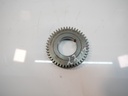 Rueda dentada Ford Transit FY FBD 2.0 EcoBlue YNF6