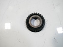 Rueda dentada Ford Transit 2.0 EcoBlue YMF6 YMFA (GK2Q-6A893-AB)