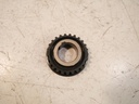 Rueda dentada Ford Transit F3 FDD 2.0 EcoBlue YMFS (GK2Q-6A893-AA)