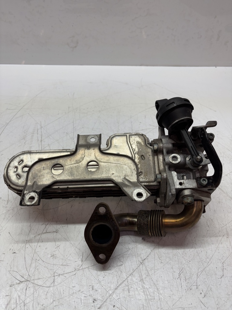 [MTD-472456] Enfriador de gases de escape VW Skoda Seat Audi Passat Octavia Leon A3 1.9 TDI BKC 038131513AD