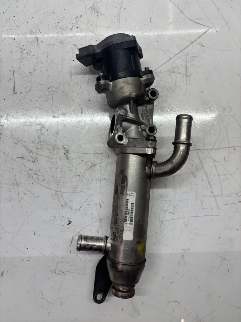 [MTD-472561] Enfriador de gas de escape para Jaguar XJ X350 X358 2.7 Diesel 152 kW/207 CV OE 4R8Q-9Y493-BJ