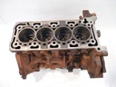 Bloque motor Ford Transit V362 2.0 EcoBlue