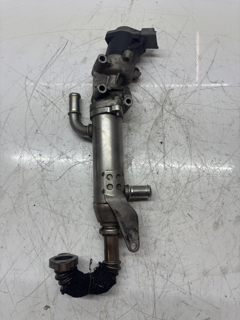 [MTD-491562] Enfriador de gas de escape Jaguar S-Type X200 2.7 D V6 Diesel 4R8Q-9Y493-BG