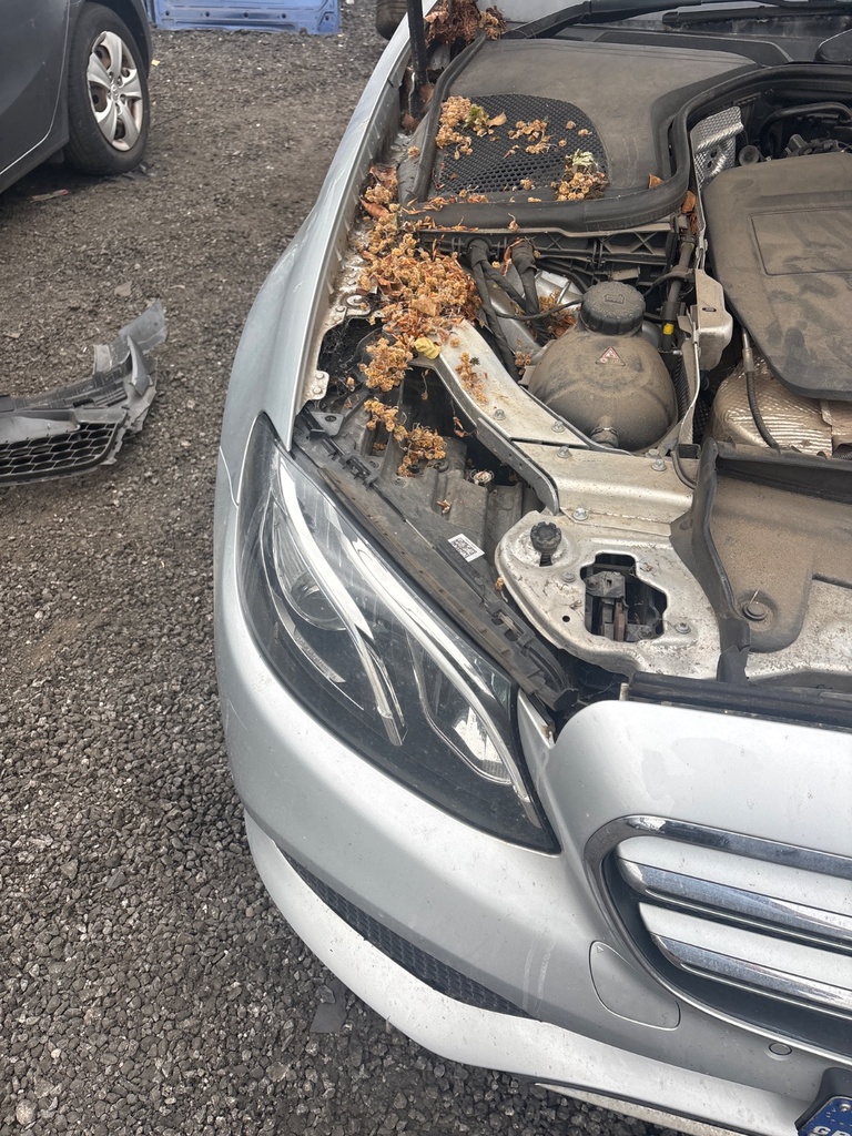 [EPE-116948] Faro derecho Mercedes-Benz Clase E W213
