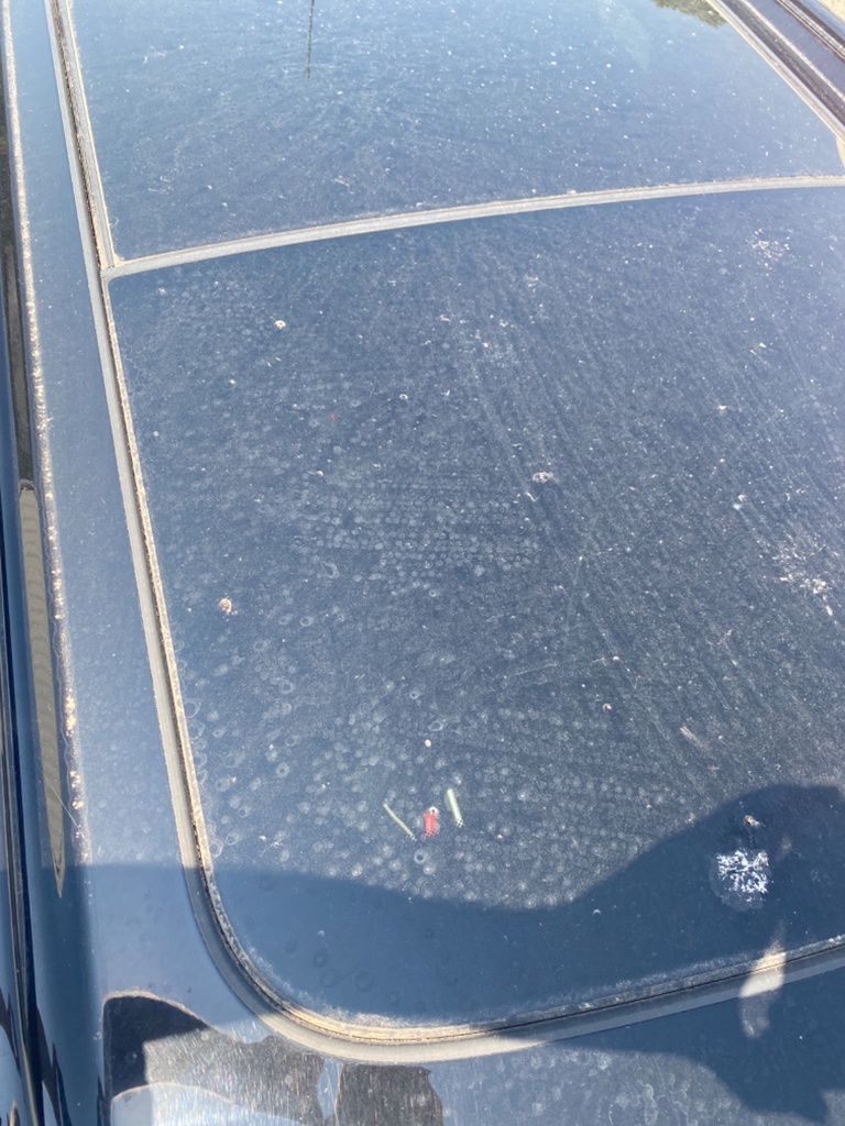 [EPE-110306] Techo solar panorámico Mini Countryman