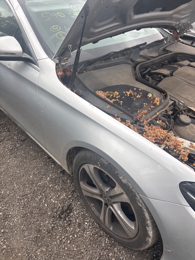 [EPE-116950] Aleta delantera derecha Mercedes-Benz E-Class (2018)