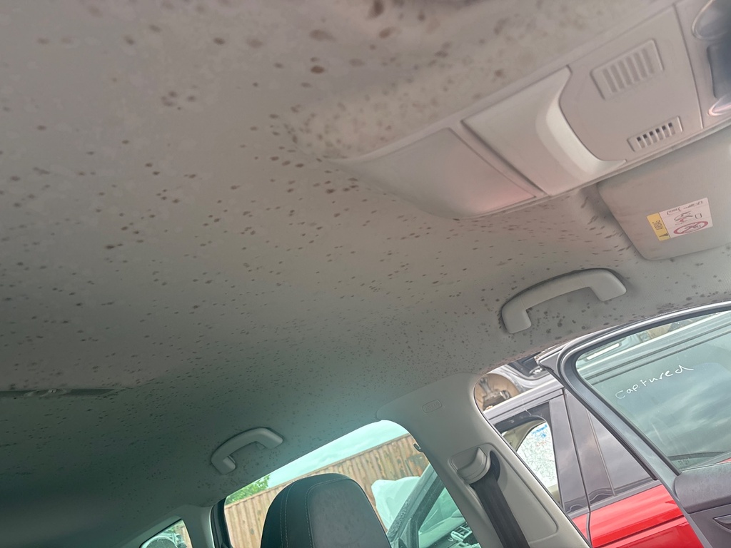 [EPE-115493] Tapizado de techo Skoda Karoq 2018