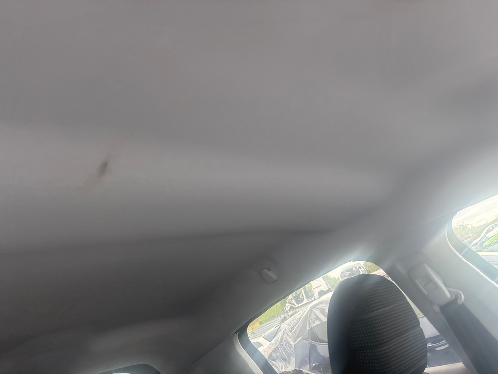 [EPE-118261] Cielo Peugeot 208 2019