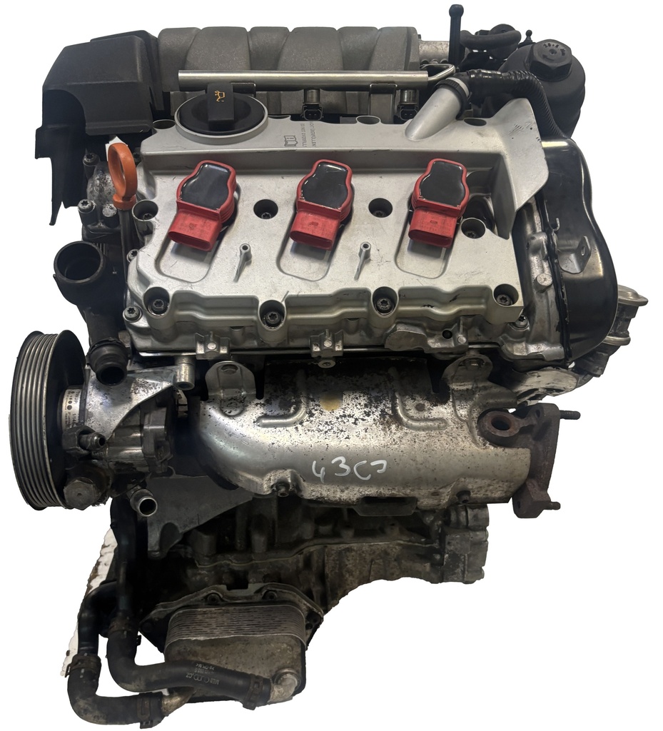 [MTD-487341] Motor Audi A6 C6 2.4 TFSI BDW