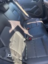 Conjunto de asientos traseros Mercedes-Benz Clase A (W176)