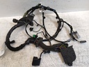 Arnés puerta delantera izquierda Land Rover Range Rover Sport I L320 2008