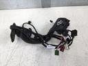 Mazo de cables puerta trasera derecha Mercedes Clase E W213 2019 E 220 d