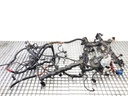 Mazo de cables motor BMW Serie 7 (F01, F02, F03, F04) 2008-2015 750i 300kW (408CV) gasolina