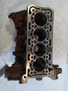 Bloque motor Ford Transit 2.0 EcoBlue YLF6