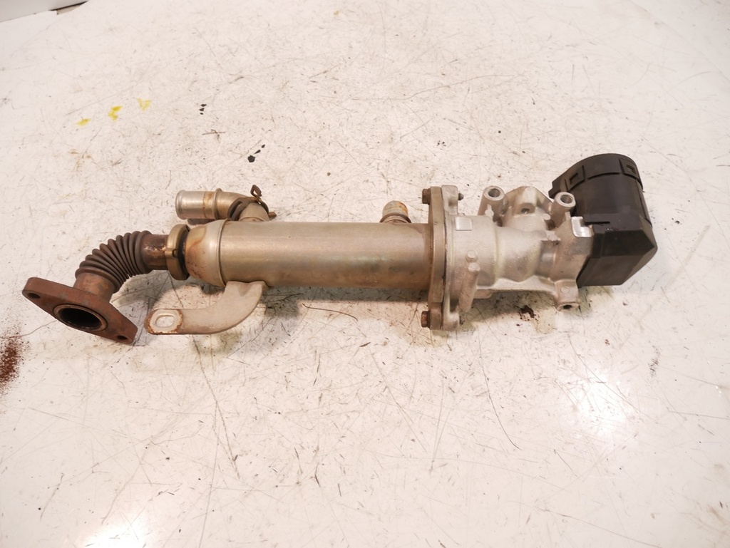 [MTD-440471] Enfriador de gases de escape Citroën Peugeot 2.0 HDI RHK DW10UTED4 9645689780