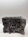 Bloque motor con cigüeñal BMW Serie 3 E90 2.0 320d xDrive