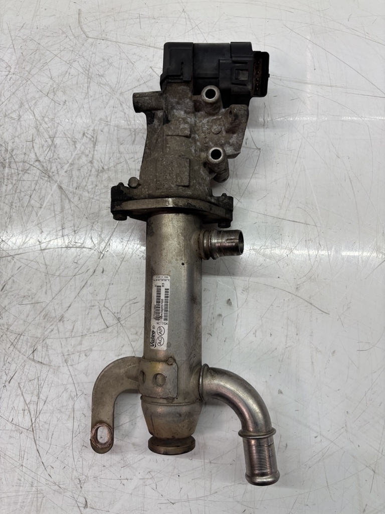 [MTD-448138] Enfriador de gases de escape Peugeot Citroen Expert Jumpy 2.0 HDi DW10UTED4 RHK 161835