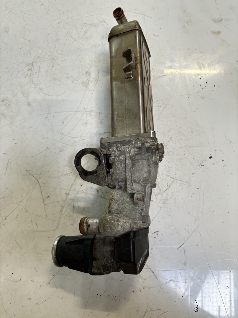 [MTD-448995] Enfriador de gases de escape Audi A3, Seat Leon, Skoda Octavia, VW Golf VI 1.6 TDI CAYC CAY 03L131512AT