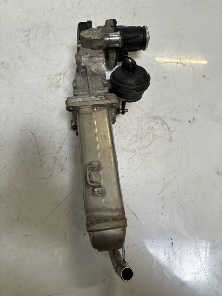 [MTD-449094] Enfriador de gases de escape Audi A3 Seat Leon VW Golf VI 1.6 TDI CAYC CAY 03L131512DQ