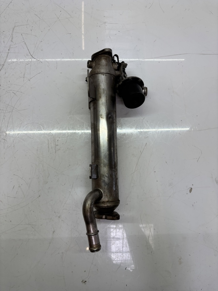 [MTD-450486] Enfriador de gases de escape VW Golf Passat 2.0 TDI CBD CBDC 03L131512B