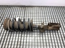 Amortiguador delantero izquierdo BMW X5 (E53) 2000-2006