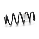 Muelle de suspensión trasero BMW Serie 1 (F70) 2024-