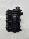 Colector de admisión Ford B-Max JK Fiesta 6 1.0 EcoBoost SFJA C10FD0X 1047092S01