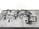 Mazo de cables de motor BMW Serie 5 Touring (F11) 530d 190 kW 2011-2017