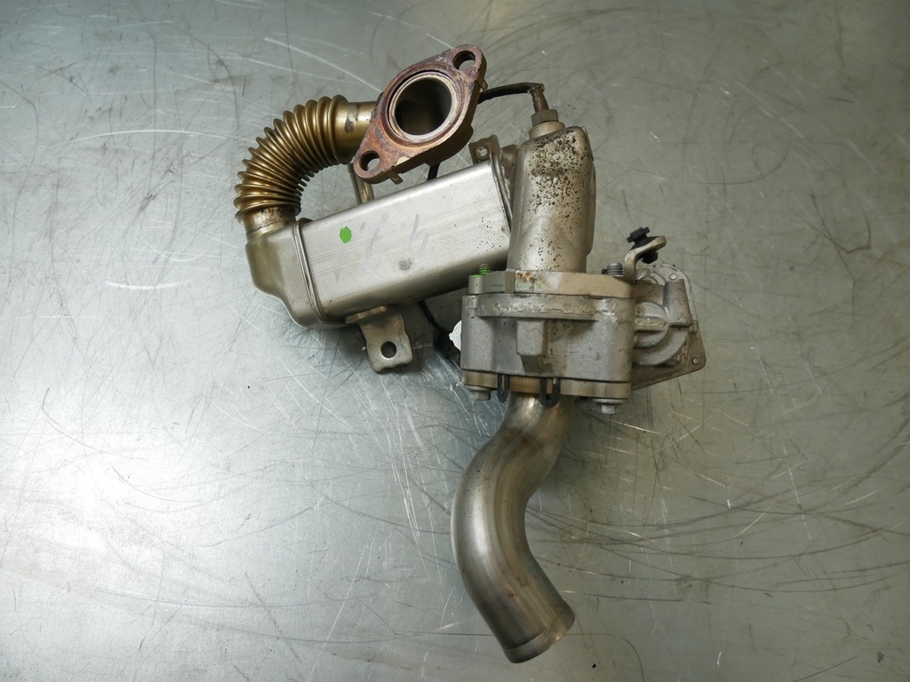 [MTD-425190] Enfriador de gases de escape Nissan Qashqai J11 1.6 dCi R9M410 R9M 147350678R