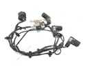 Arnés de sensores de aparcamiento trasero Ford Focus C-MAX (DM2) 2003-2007