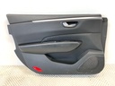 Panel de puerta delantero izquierdo Renault Talisman (LP_) 2015-2022