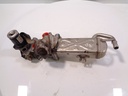 Enfriador de gases de escape VW Golf 1.6 TDI 105 CV CAYC CAY 03L131512CF