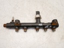 Flauta de inyectores Ford Mondeo V 2.0 TDCI Bi-Turbo T9CA 9674300080