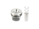 Pistón STD 81mm Audi Seat Skoda VW A3 Golf Passat 2.0 TDI CFF CFFA CFFB